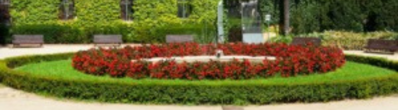 BYC  Landscaping
