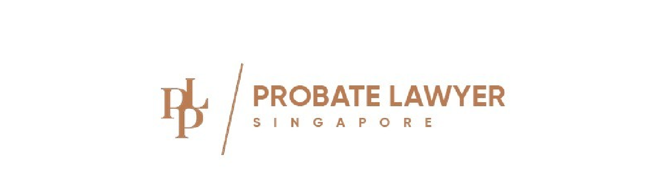 Singapore  Lawyer