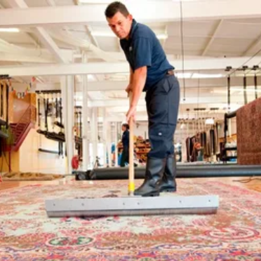 Clean Carpets
