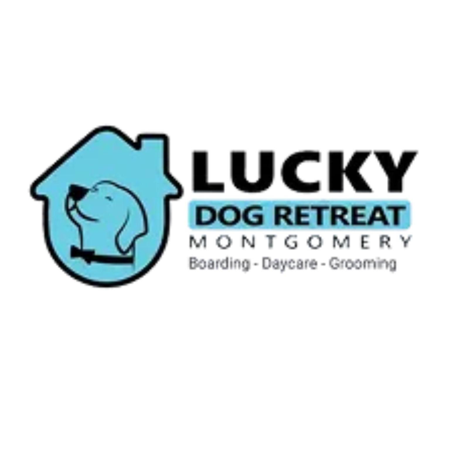 Lucky Dog Montgomery