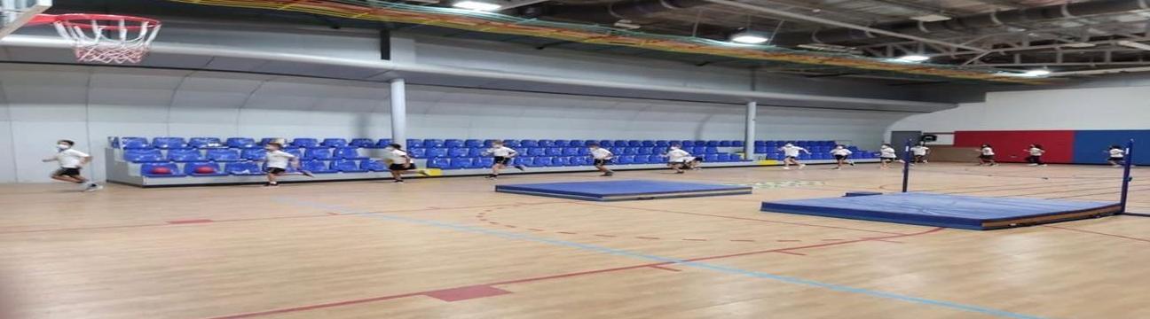 Icedubai School