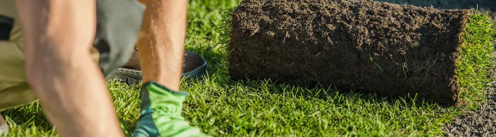 Texas Sod Pros