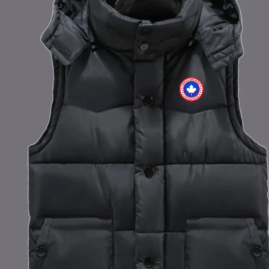 Paragoose Fr99
