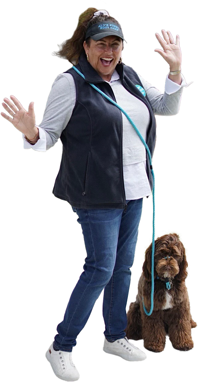 pikumil_b51df9ec7dc4c116e433a93934ce16d8.png