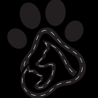 Pawstreet Uae