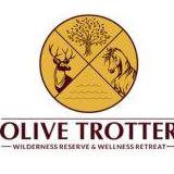 Olive Resort