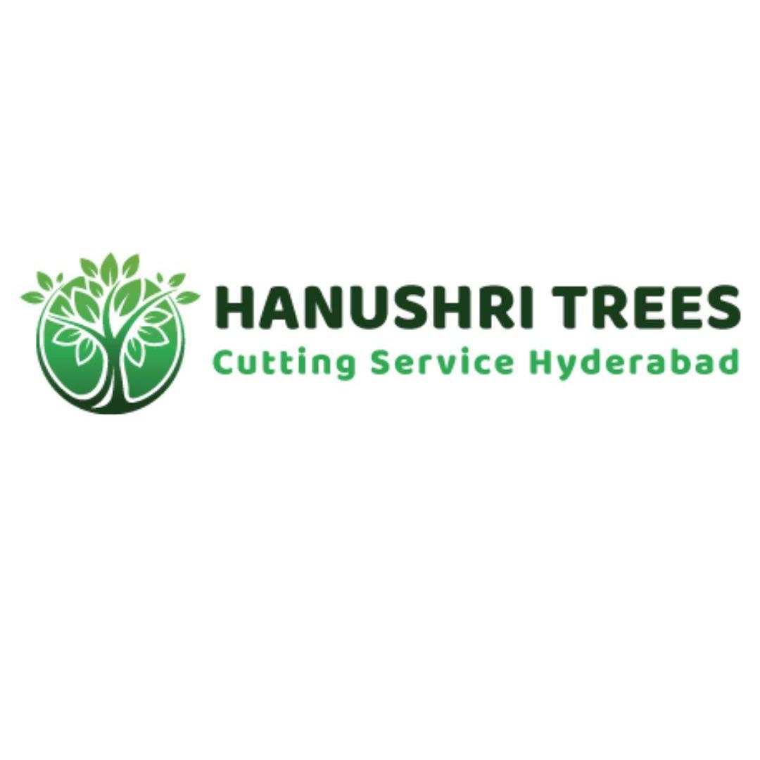Hanushri Services