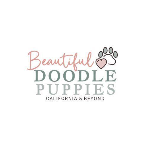 Beautiful  Doodles