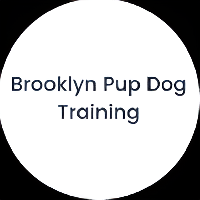 BrooklynPup Training