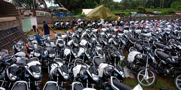 pikumil_4da97839ca9362fd079df48712092194.png