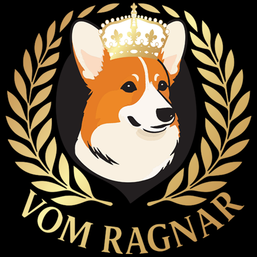 Vom Ragnar   Corgi