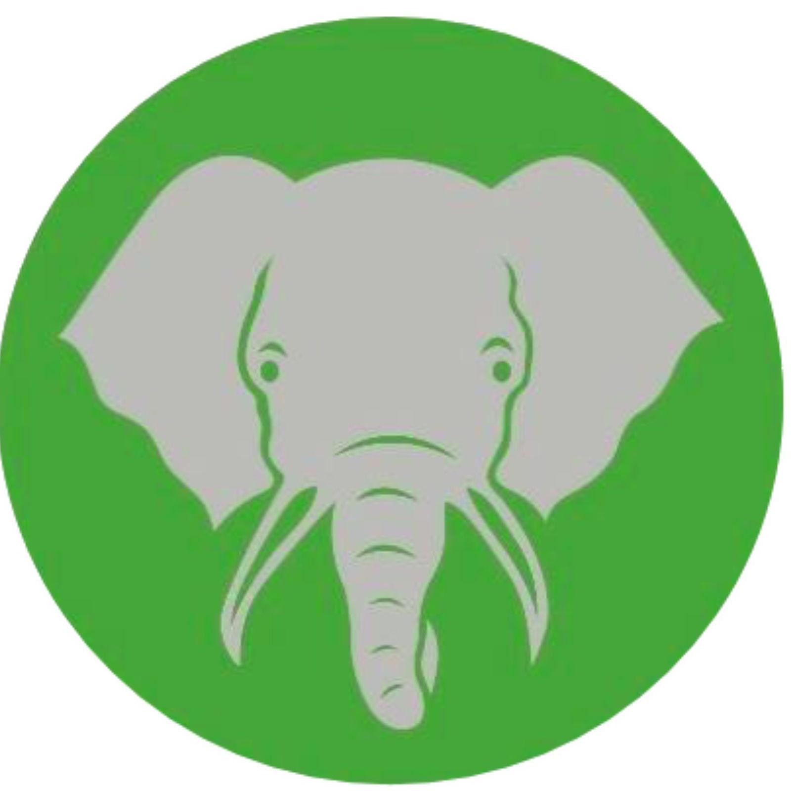 Elephant   Trunk