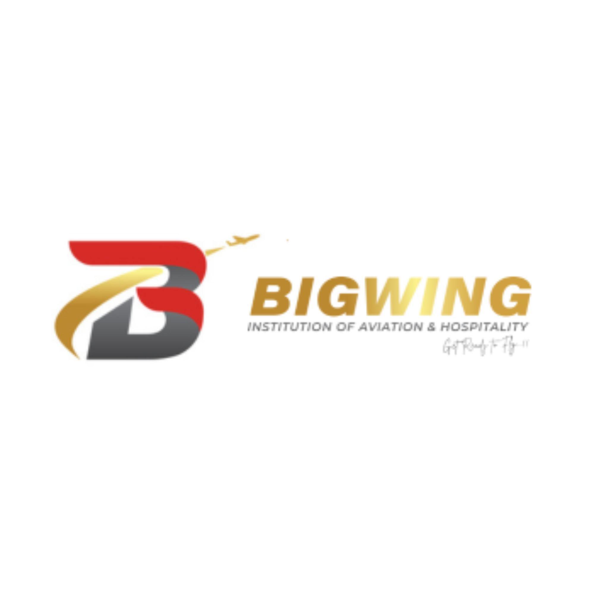 Bigwing Aviation