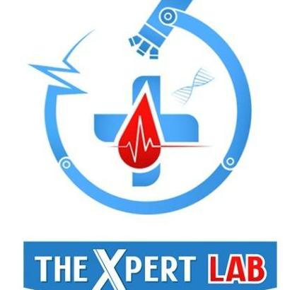 Expert Lab