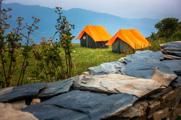 pikumil_208490189fc9ab34337e749a95a28398.png
