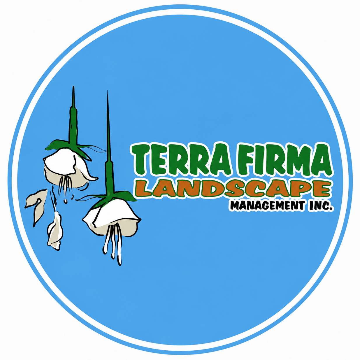 TerraFirma Landscape