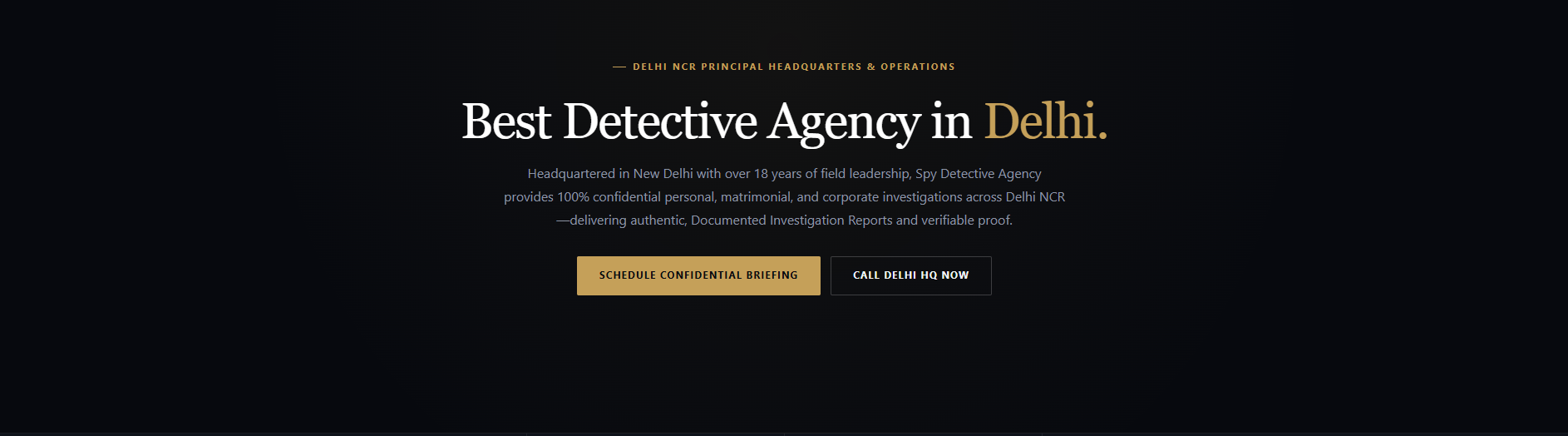 Spy Detective Agency