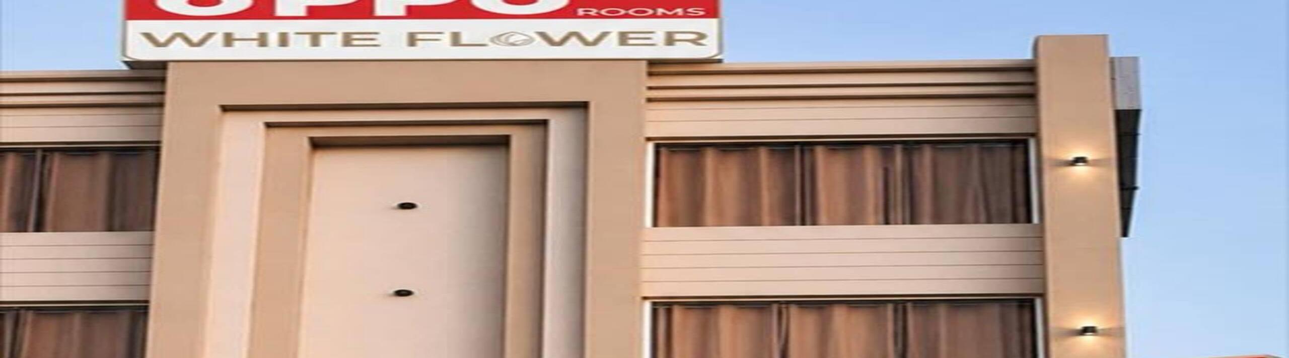 Pulp Hotels