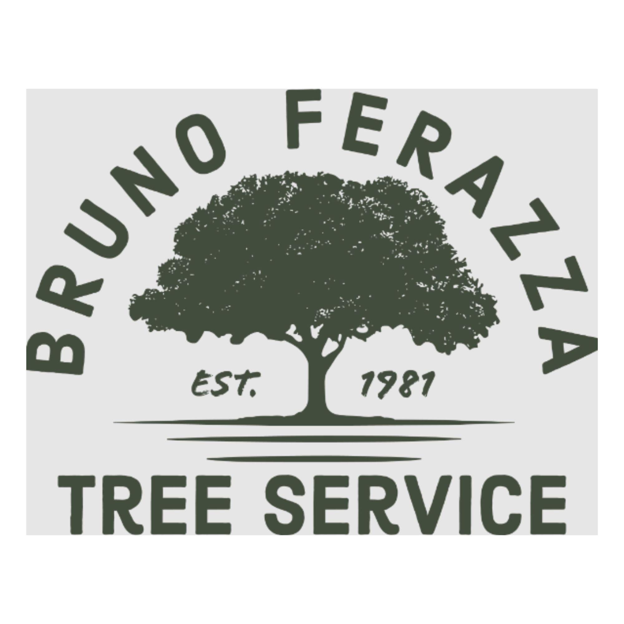 BrunoFerazza TreeServices